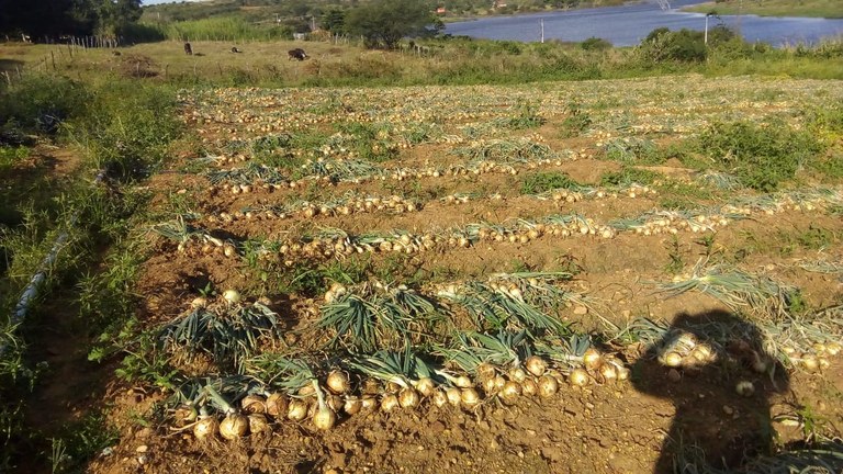 PB Rural Sustentável inscreve demandas de agricultores até 14 de novembro
