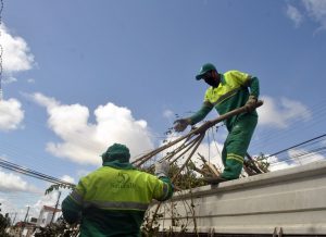 Equipes da Emlur recolhem resíduos de poda e entulhos em 11 bairros