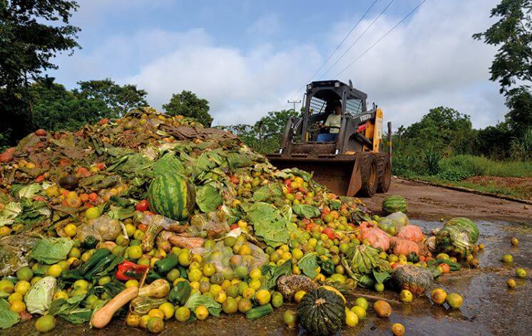 Em meio ao aumento da fome, iniciativas tentam evitar desperdício de alimentos