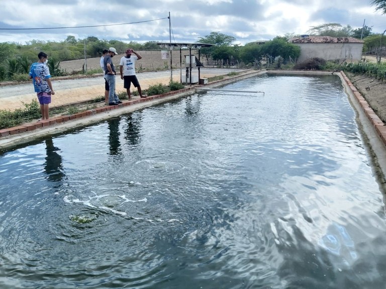 Empaer: Produtores de Alagoa Nova e Boqueirão conhecem sistema de criação de tilápias em Queimadas