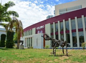 Celeiro Espaço Criativo estará aberto nesta quinta-feira e promove evento a partir das 15h