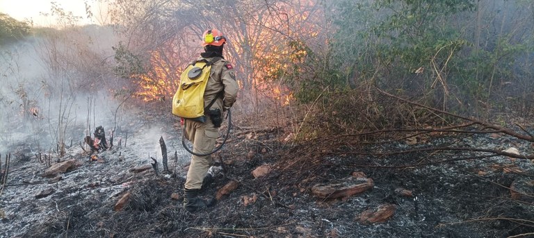 Força-tarefa tenta controlar incêndio no entorno do Parque Estadual Serra da Santa Catarina