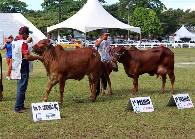 Expofeira Paraíba Agronegócios 2023 será aberta ao público a partir deste domingo (17)