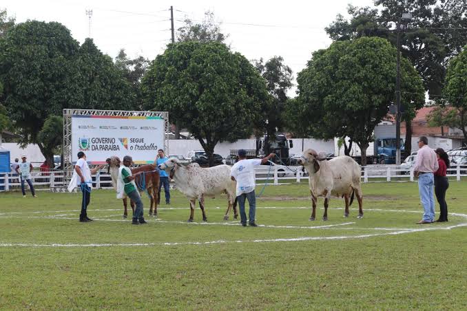 Governo da Paraíba faz lançamento oficial da Expofeira Paraíba Agronegócios 2023 nesta segunda-feira