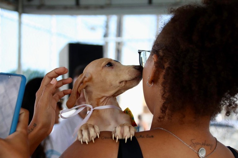 Paraíba realiza III Feira de Educação, Cuidados e Adoção Animal, em João Pessoa