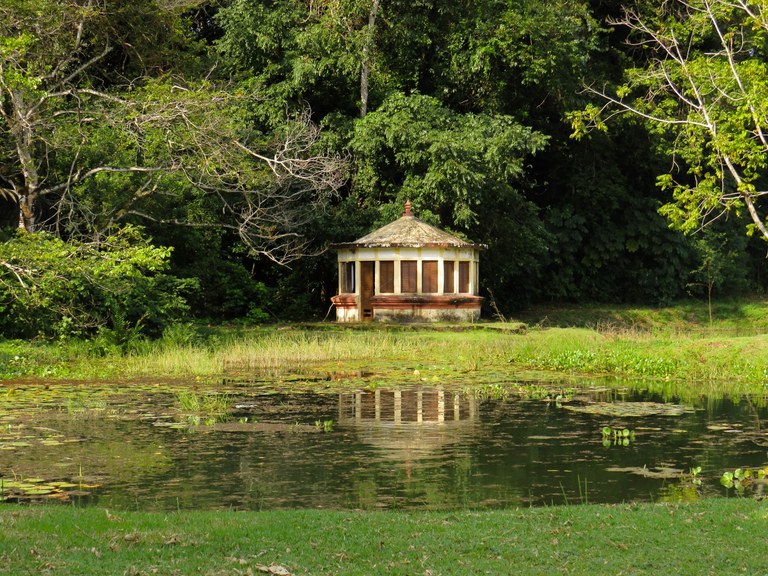 Jardim Botânico celebra aniversário de fundação com programação especial neste sábado