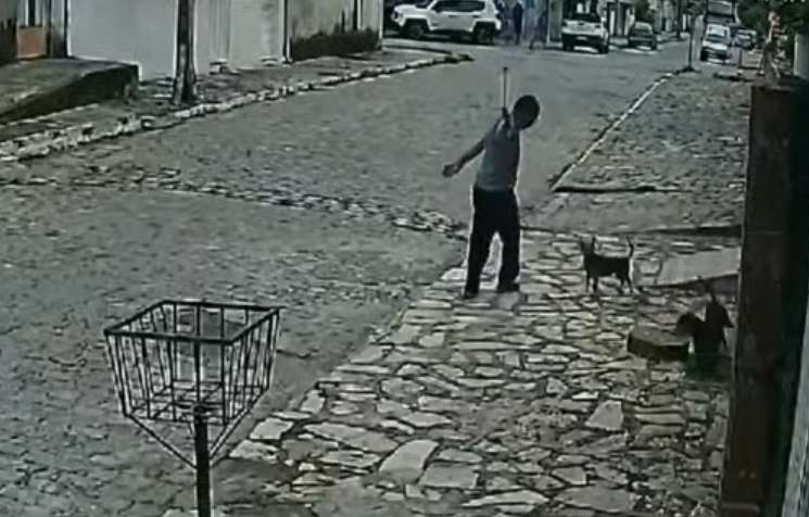 Homem é preso por agredir cachorro com corrente, no bairro de Mandacaru