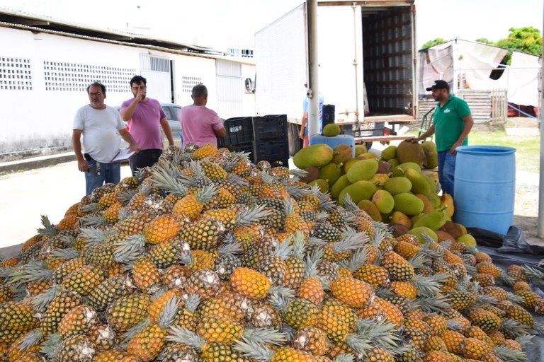 Governo compra 17,5 t de alimentos da agricultura familiar e atende pessoas em situação de insegurança alimentar