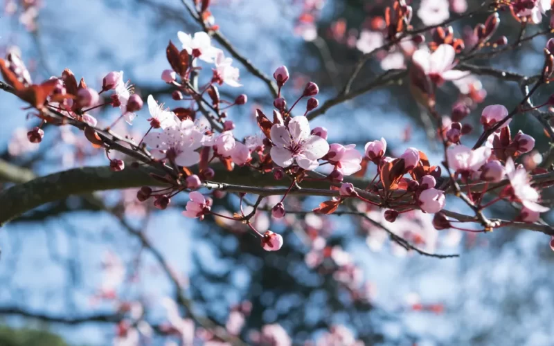 primavera comeca com frente fria e ventania e pancadas de chuvas no nordeste