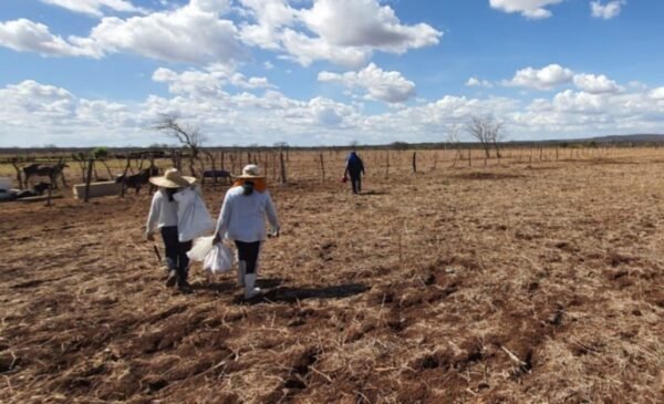 Inmet emite dois alertas de clima seco na Paraíba e 90 cidades ficam com umidade do ar igual a do deserto do Saara
