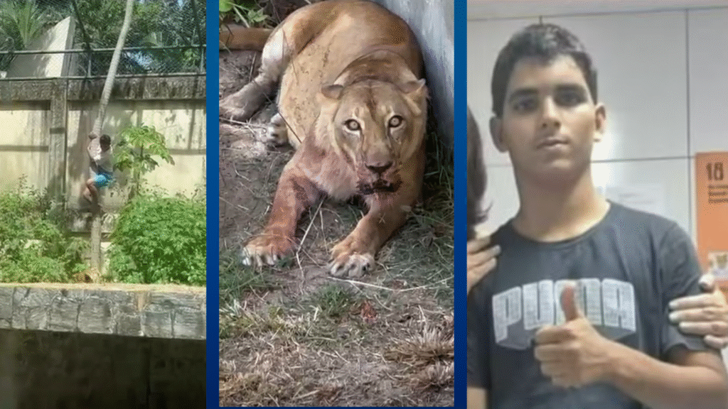 o que se sabe sobre a morte do jovem que invadiu jaula de leoa no zoologico de joao pessoa