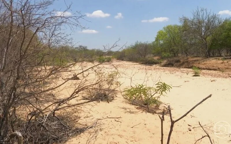 Paraíba pode enfrentar déficit de chuvas até maio e risco de estresse hídrico preocupa produtores