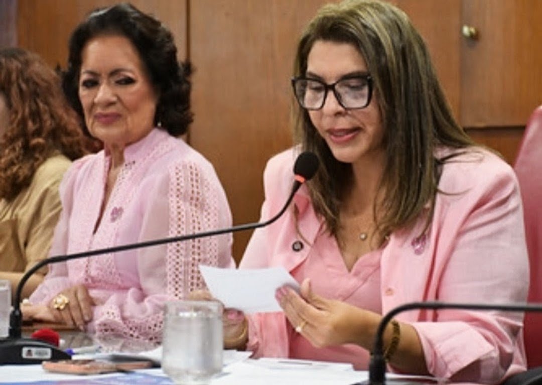 Amanhã: CMJP realizará sessão especial alusiva ao Dia Internacional do Idoso, Memória das Vítimas de Feminicídio e Outubro Rosa